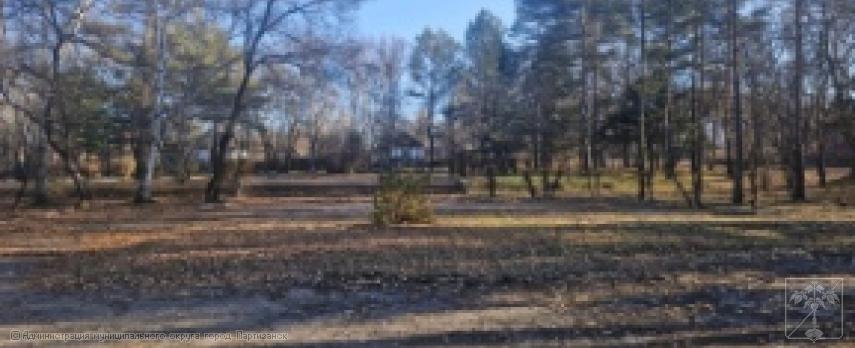 Благоустройство зоны отдыха, прилегающей к Монументу жителям Партизанска, павшим в сражениях Великой Отечественной войны (г.Партизанск)