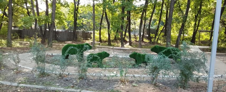 Общественная организация "Территориальное общественное самоуправление "Южный" Партизанского городского округа", проект "В гармонии с природой-2"