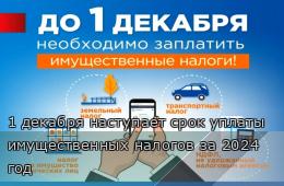 19.11.2025 1 декабря наступает срок уплаты имущественных налогов за 2024 год | Администрация муниципального округа город Партизанск Приморского края Официальный сайт