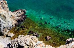 11.07.2022 Селфи в защиту природы предлагают сделать приморцам, сообщает  www.primorsky.ru | Администрация муниципального округа город Партизанск Приморского края Официальный сайт