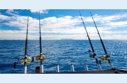 06.07.2022 Соревнования по спортивному лову рыбы | Администрация муниципального округа город Партизанск Приморского края Официальный сайт