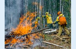 14.06.2022 Штрафы существенно выросли  | Администрация муниципального округа город Партизанск Приморского края Официальный сайт