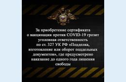 07.09.2021 Уголовная ответственность - за поддельный свертификат о вакцинации  | Администрация муниципального округа город Партизанск Приморского края Официальный сайт