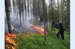 05.09.2022 Чтобы не стать виновником пожара | Администрация муниципального округа город Партизанск Приморского края Официальный сайт