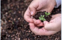 26.07.2022 Экологический конкурс  для блогеров и СМИ  | Администрация муниципального округа город Партизанск Приморского края Официальный сайт