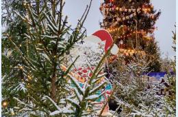 04.12.2025 Как приморцы планируют провести новогодние каникулы, покажет опрос | Администрация муниципального округа город Партизанск Приморского края Официальный сайт