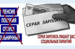 10.03.2026 Неформальная занятость населения  | Администрация муниципального округа город Партизанск Приморского края Официальный сайт