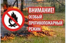 08.04.2024 Госпожнадзор напомнил об ответственности за нарушение правил пожарной безопасности  | Администрация муниципального округа город Партизанск Приморского края Официальный сайт