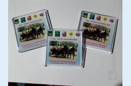 09.09.2022 По памятным местам нашей истории | Администрация муниципального округа город Партизанск Приморского края Официальный сайт