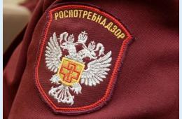 11.06.2024 Роспотребнадзор напоминает о профилактике бешенства | Администрация муниципального округа город Партизанск Приморского края Официальный сайт