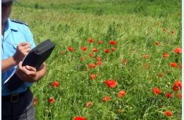 30.05.2022 Полиция информирует о старте операции «Мак-2022» | Администрация муниципального округа город Партизанск Приморского края Официальный сайт