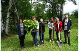 16.06.2022 Высадили абелию и  венгерскую сирень | Администрация муниципального округа город Партизанск Приморского края Официальный сайт