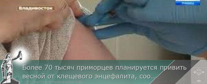 Более 70 тысяч приморцев планируется привить весной от клещевого энцефалита, сообщает www.primorsky.ru
