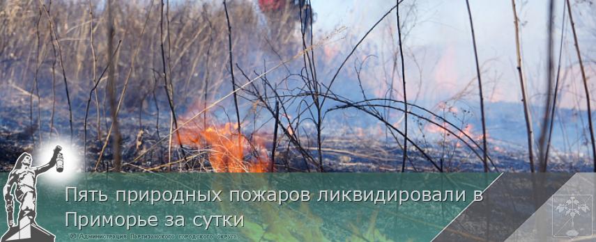 Пять природных пожаров ликвидировали в Приморье за сутки