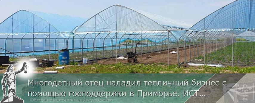 Многодетный отец наладил тепличный бизнес с помощью господдержки в Приморье. ИСТОРИЯ УСПЕХА | Администрация муниципального округа город Партизанск Приморского края Официальный сайт Многодетный отец наладил тепличный бизнес с помощью господдержки в Приморье. ИСТОРИЯ УСПЕХА | Администрация муниципального округа город Партизанск Приморского края Официальный сайт