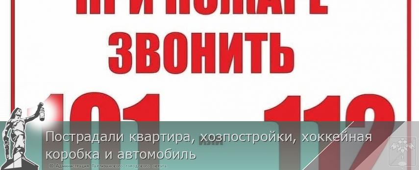 Пострадали квартира, хозпостройки, хоккейная коробка и автомобиль 