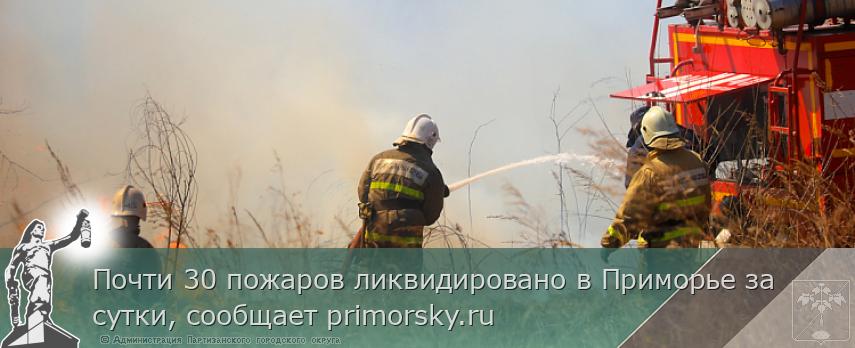 Почти 30 пожаров ликвидировано в Приморье за сутки, сообщает primorsky.ru