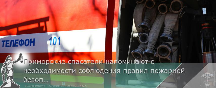 Приморские спасатели напоминают о необходимости соблюдения правил пожарной безопасности. ПАМЯТКА