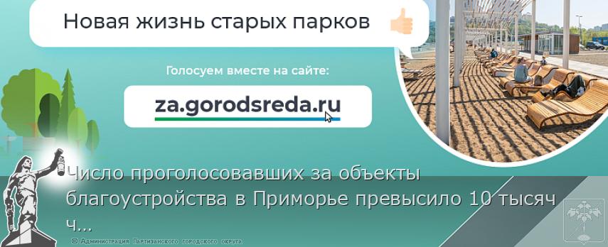 Число проголосовавших за объекты благоустройства в Приморье превысило 10 тысяч человек