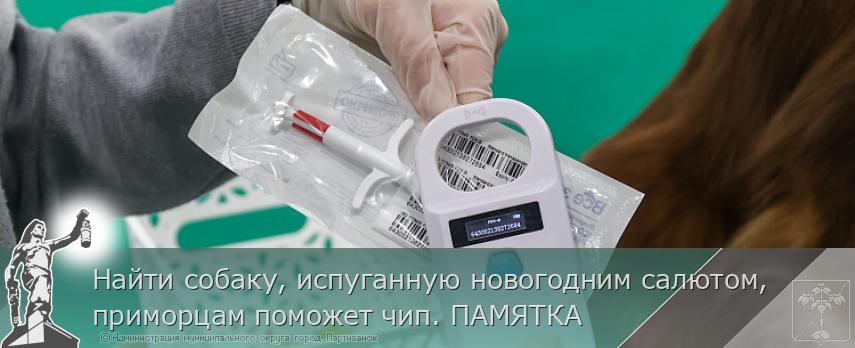 Найти собаку, испуганную новогодним салютом, приморцам поможет чип. ПАМЯТКА  | Администрация муниципального округа город Партизанск Приморского края Официальный сайт