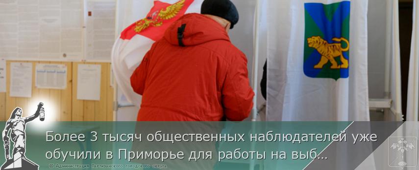 Более 3 тысяч общественных наблюдателей уже обучили в Приморье для работы на выборах Президента РФ
