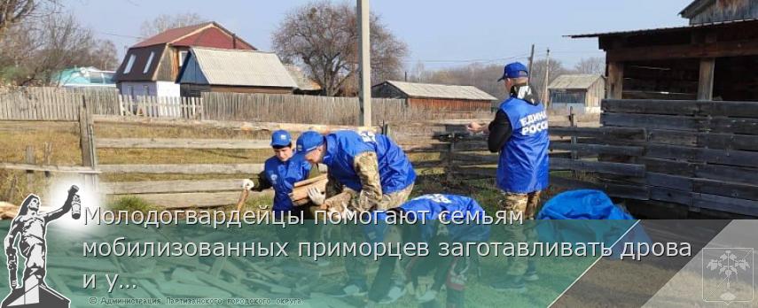 Молодогвардейцы помогают семьям мобилизованных приморцев заготавливать дрова и убирать огороды, сообщает www.primorsky.ru
