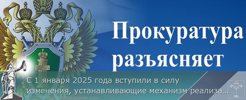 С 1 января 2025 года вступили в силу изменения, устанавливающие механизм реализации лесоклиматических проектов