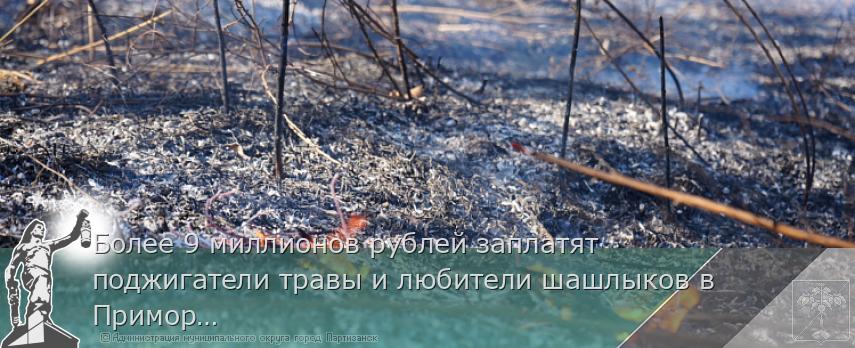 Более 9 миллионов рублей заплатят поджигатели травы и любители шашлыков в Приморье | Администрация муниципального округа город Партизанск Приморского края Официальный сайт Более 9 миллионов рублей заплатят поджигатели травы и любители шашлыков в Приморье | Администрация муниципального округа город Партизанск Приморского края Официальный сайт