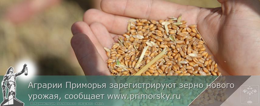 Аграрии Приморья зарегистрируют зерно нового урожая, сообщает www.primorsky.ru 