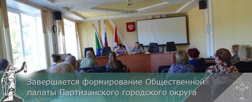 Завершается формирование Общественной палаты Партизанского городского округа