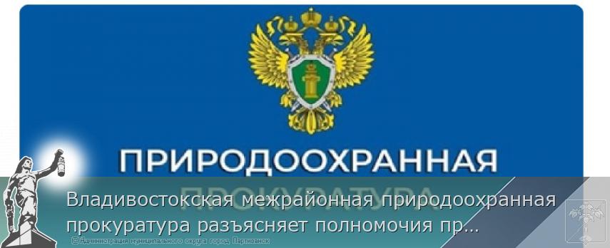 Владивостокская межрайонная природоохранная прокуратура разъясняет полномочия природоохранных прокуроров в сфере противодействия коррупции | Администрация муниципального округа город Партизанск Приморского края Официальный сайт Владивостокская межрайонная природоохранная прокуратура разъясняет полномочия природоохранных прокуроров в сфере противодействия коррупции | Администрация муниципального округа город Партизанск Приморского края Официальный сайт