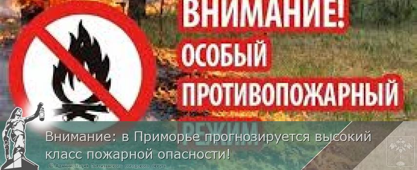 Внимание: в Приморье прогнозируется высокий класс пожарной опасности!