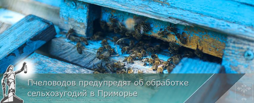 Пчеловодов предупредят об обработке сельхозугодий в Приморье | Администрация муниципального округа город Партизанск Приморского края Официальный сайт Пчеловодов предупредят об обработке сельхозугодий в Приморье | Администрация муниципального округа город Партизанск Приморского края Официальный сайт