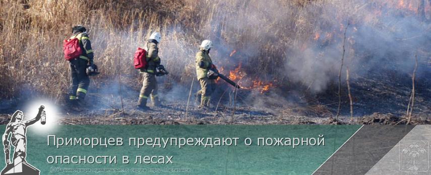 Приморцев предупреждают о пожарной опасности в лесах | Администрация муниципального округа город Партизанск Приморского края Официальный сайт