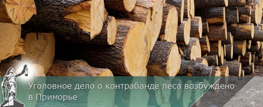 Уголовное дело о контрабанде леса возбуждено в Приморье