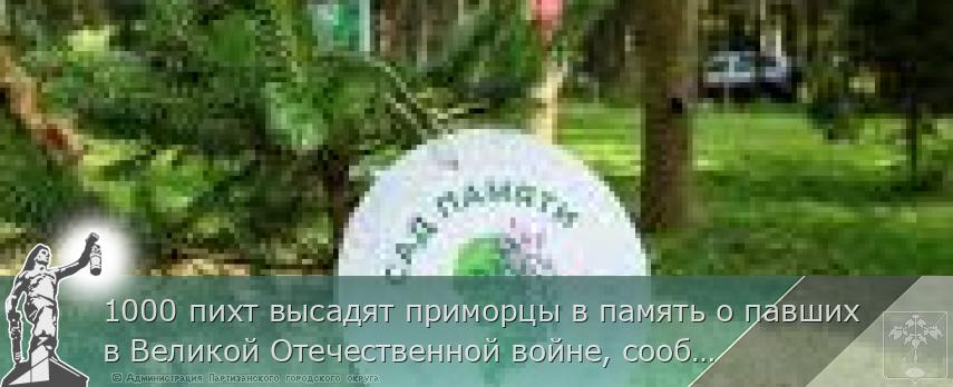 1000 пихт высадят приморцы в память о павших в Великой Отечественной войне, сообщает primorsky.ru