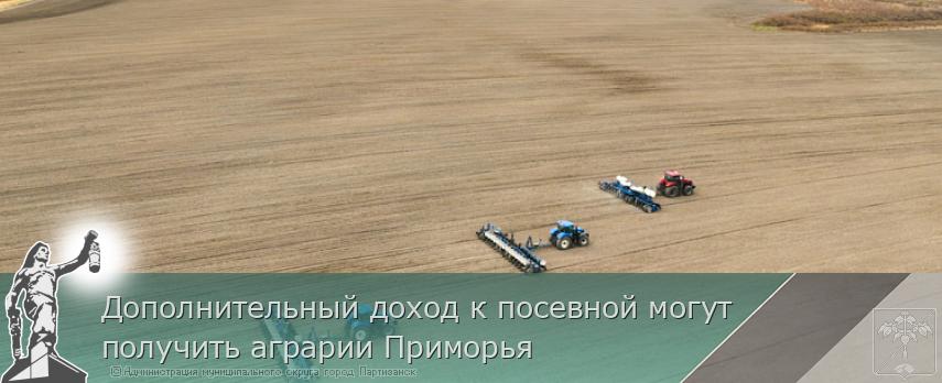 Дополнительный доход к посевной могут получить аграрии Приморья | Администрация муниципального округа город Партизанск Приморского края Официальный сайт